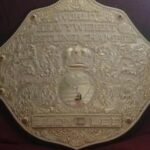 WWE World Heavyweight Championship Classic Big Gold Championship Belt WWE Belt photo review
