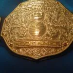 WWE World Heavyweight Championship Classic Big Gold Championship Belt WWE Belt photo review