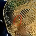 WWE World Heavyweight Championship Classic Big Gold Championship Belt WWE Belt photo review