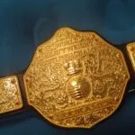 WWE World Heavyweight Championship Classic Big Gold Championship Belt WWE Belt photo review