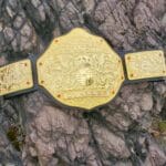 WWE World Heavyweight Championship Classic Big Gold Championship Belt WWE Belt photo review