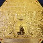 WWE World Heavyweight Championship Classic Big Gold Championship Belt WWE Belt photo review