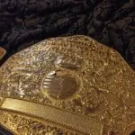 WWE World Heavyweight Championship Classic Big Gold Championship Belt WWE Belt photo review