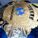 WWE World Championship Belt Winged Eagle World Wrestling Federation Belt photo review