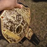 WWE World Heavyweight Championship Classic Big Gold Championship Belt WWE Belt photo review