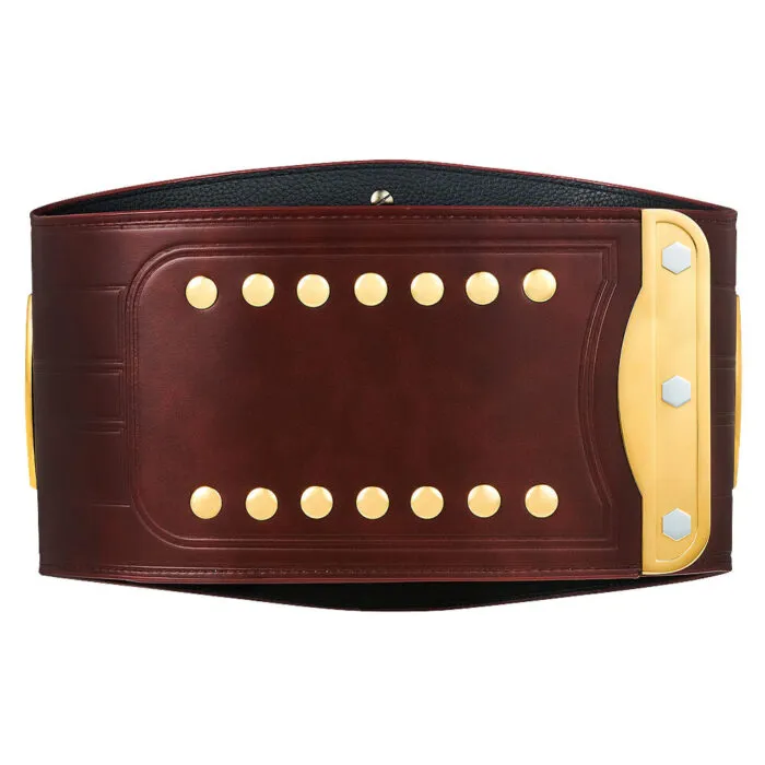 WWE World Heavy Championship NXT North American Champion WWE Belt - Image 3