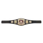 WWE Edge Rated R Superstar World Wrestling Entertainment Championship Belt - Image 4