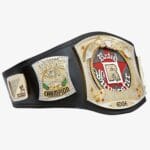 WWE Edge Rated R Superstar World Wrestling Entertainment Championship Belt - Image 3