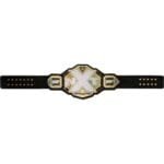 WWE NXT Title Heavy Weight Champion World Wrestling Championship Belt - Image 4