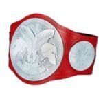 WWE Tag Team Championship World Wide Wrestling Championship Belt - Image 3