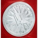 WWE Tag Team Championship World Wide Wrestling Championship Belt - Image 6