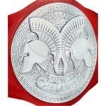 WWE Tag Team Championship World Wide Wrestling Championship Belt - Image 7