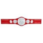 WWE Tag Team Championship World Wide Wrestling Championship Belt - Image 8