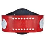 WWE Tag Team Championship World Wide Wrestling Championship Belt - Image 4