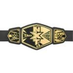 WWE World Heavy Weight Champion Tag Team NXT Belt WWE Championship - Image 3