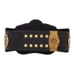 WWE Tag Team Championship Replica Title Belt - Image 6