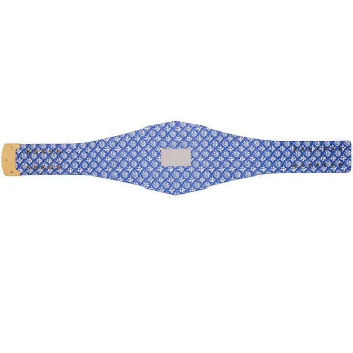 Indianapolis Colts WWE Legacy Title Belt - Image 6