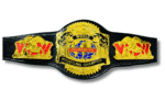 WCW World Cruiserweight Championship Belt - WCW Cruiserweight Heavyweight Wrestling Replica Title Championship