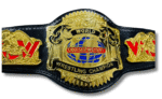WCW World Cruiserweight Championship Belt - WCW Cruiserweight Heavyweight Wrestling Replica Title Championship - Image 5