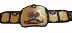 WWF World Tag Team Wrestling Championship Belt Replica - Image 3