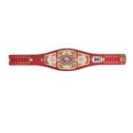 San Francisco 49ers WWE Legacy Title Belt - Image 5