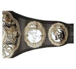 AEW unified championship - Image 3