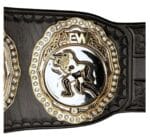 AEW unified championship - Image 4