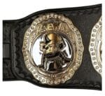AEW unified championship - Image 5
